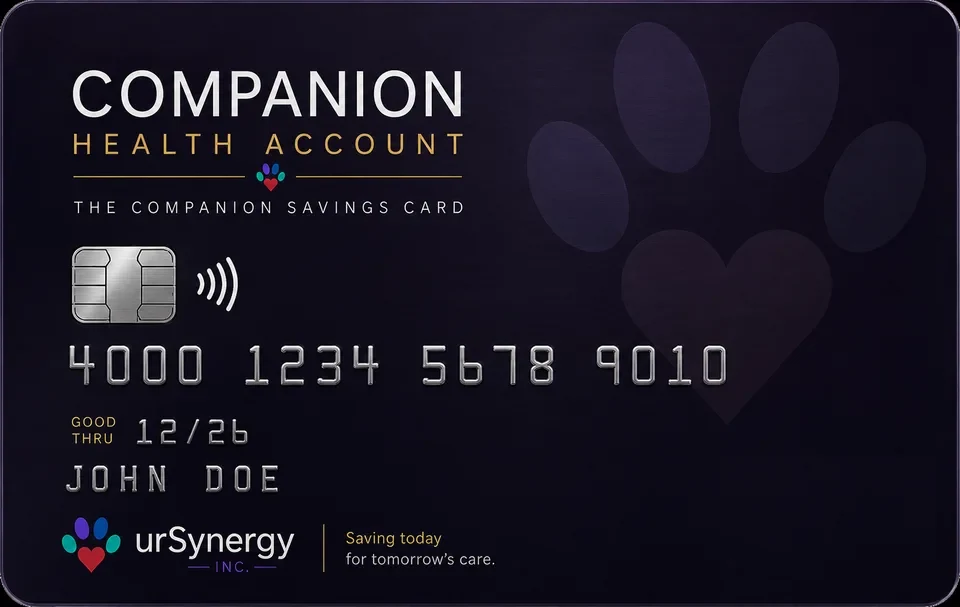 Illustration of a possible Companion Health Account card. Concept artwork with sample details — not a real card, and not available.